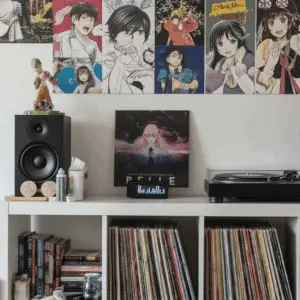 Soporte para discos de Vinil - AMASICS VG - Image 6